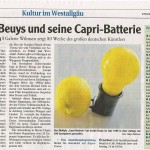 joseph-beuys-ausstellung-westallgaeuer