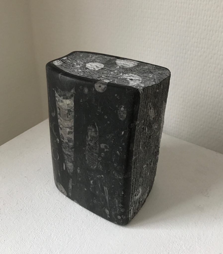 Kubach Wilmsen Skulpturen, Muschelbuch, 2017